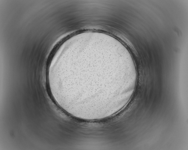 X0000113260984200910081336