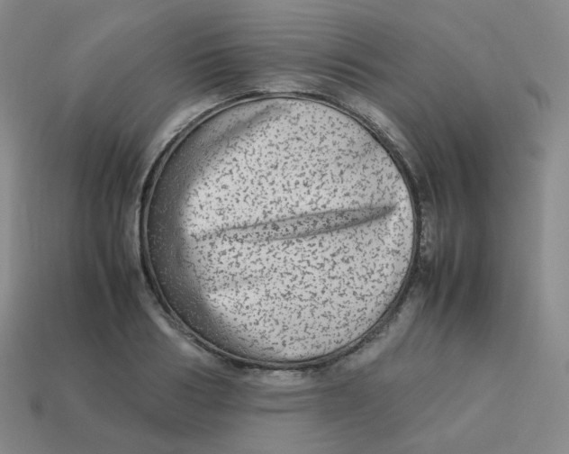 X0000113260986200910081336