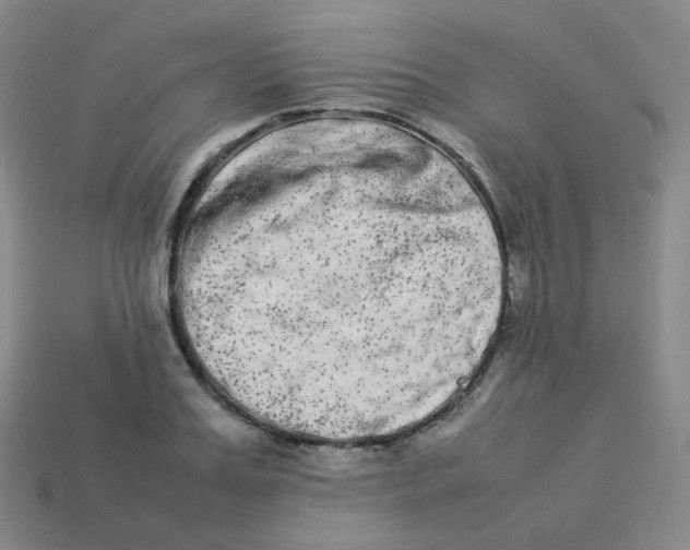 X0000113260987200910081336