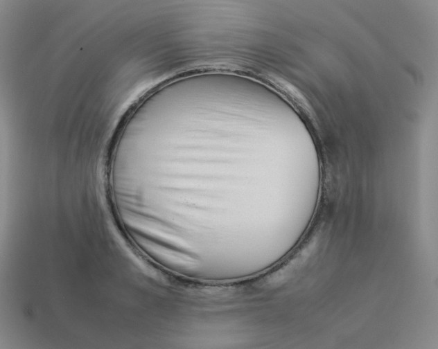 X0000113260989200910081336
