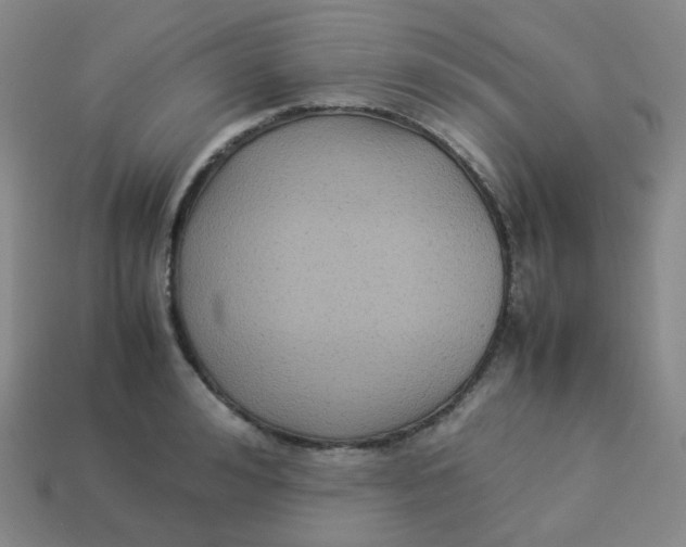 X0000113260992200910081336