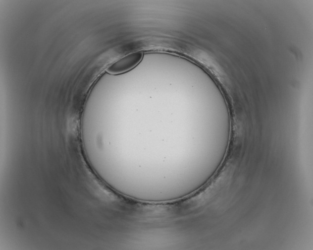 X0000113260993200910081336