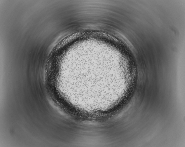 X0000113260994200910081335