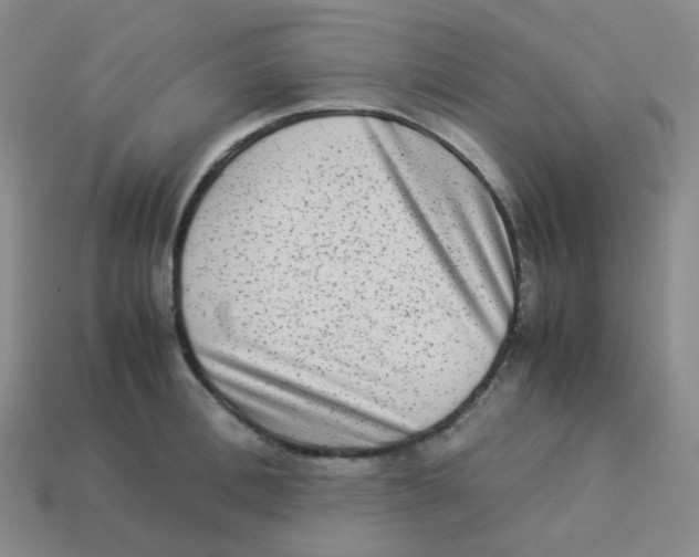 X0000113260996200910081335