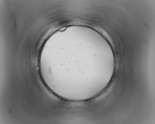 X0000113260997200910081335