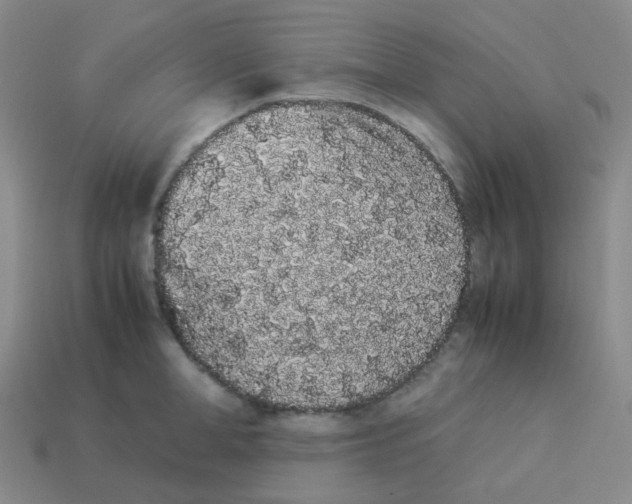 X0000113260998200910081335