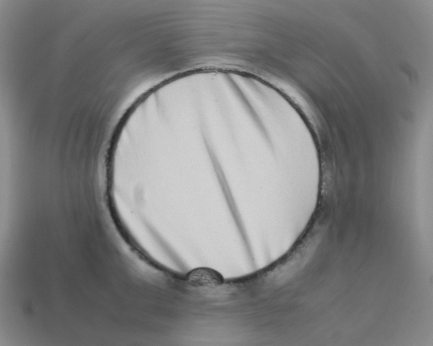 X0000113260999200910081335
