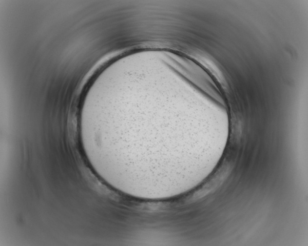 X0000113261000200910081335