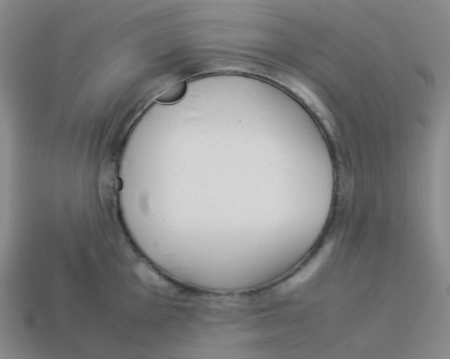 X0000113261001200910081335