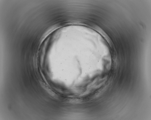 X0000113261002200910081335