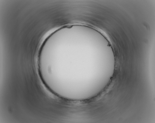 X0000113261003200910081335