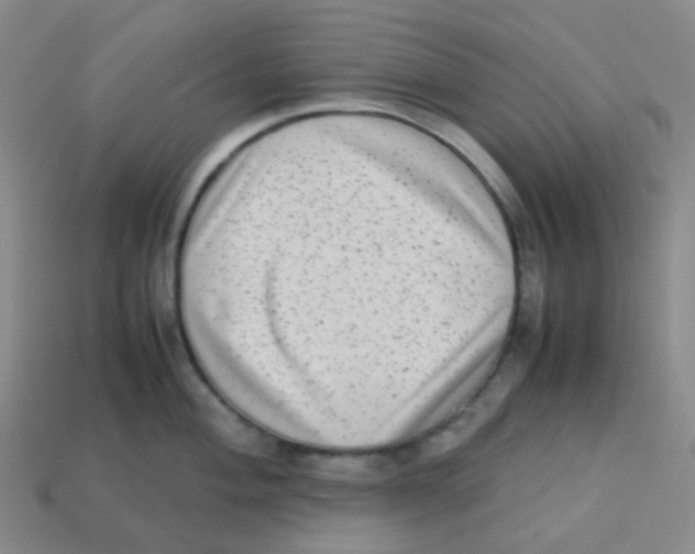 X0000113261004200910081335