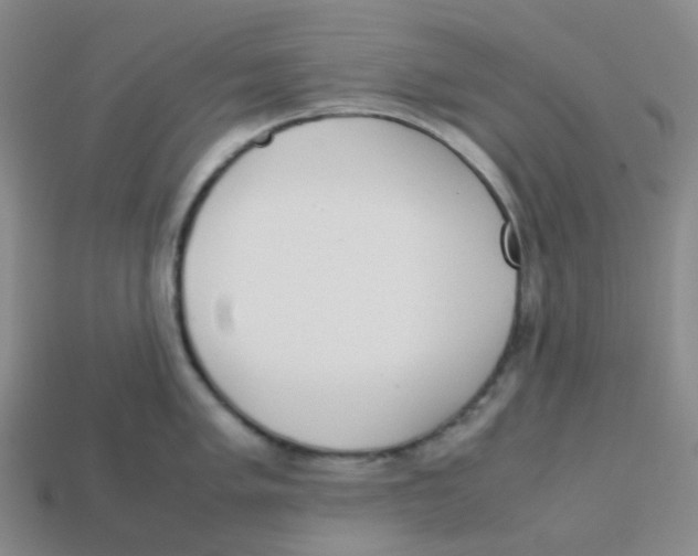 X0000113261005200910081335