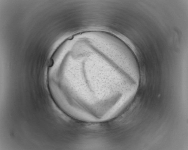 X0000113261006200910081335