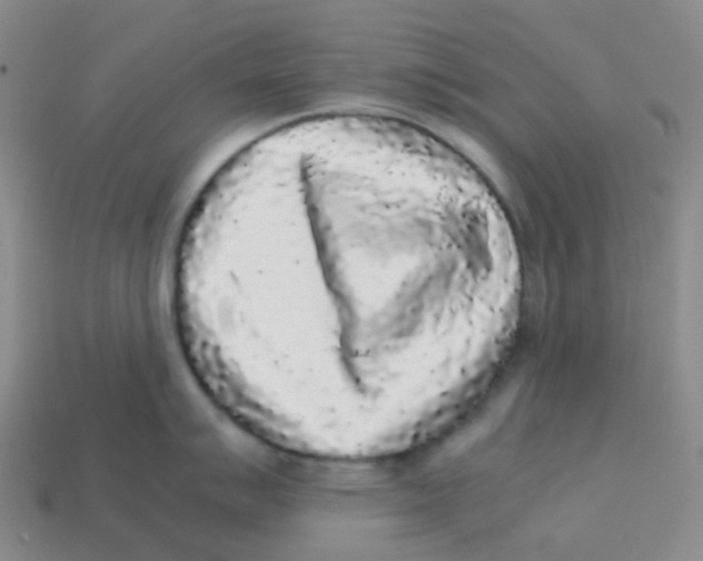 X0000113261007200910081335