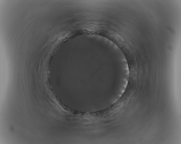 X0000113261009200910081335