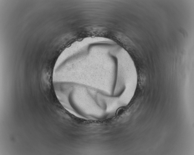 X0000113261010200910081335