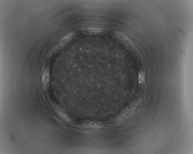 X0000113261011200910081335
