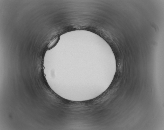 X0000113261012200910081335