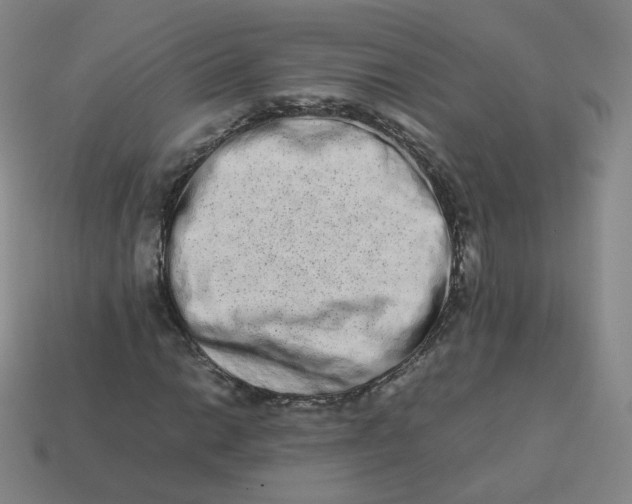 X0000113261014200910081335