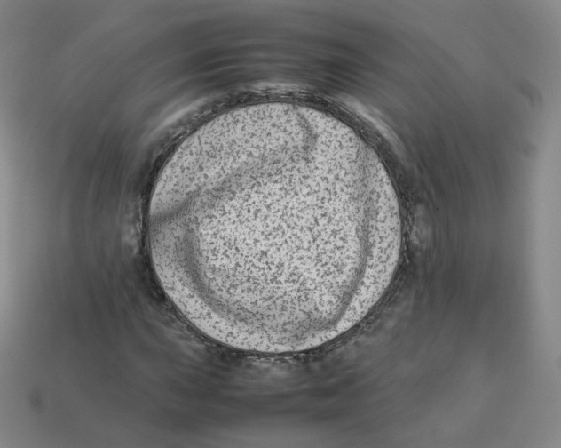 X0000113261015200910081335