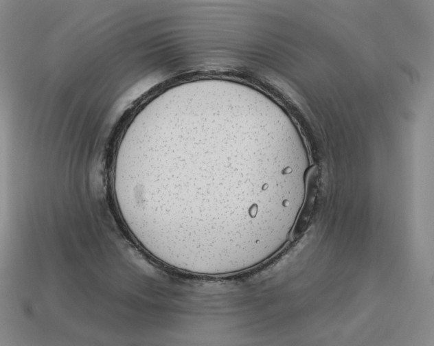 X0000113261018200910081335