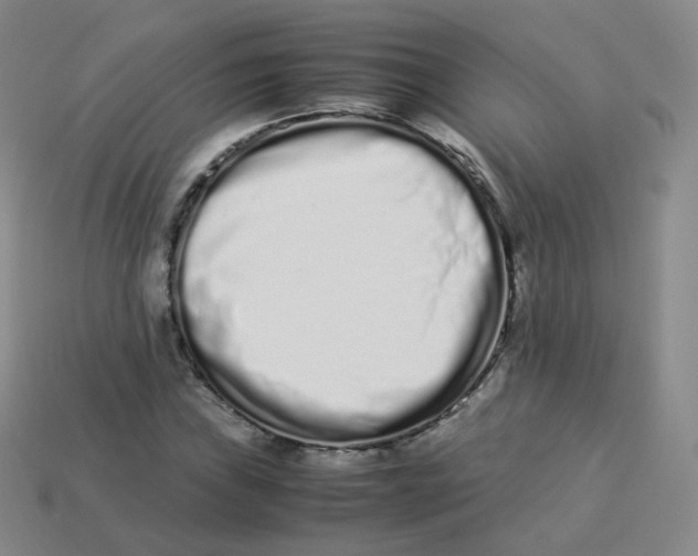 X0000113261019200910081335
