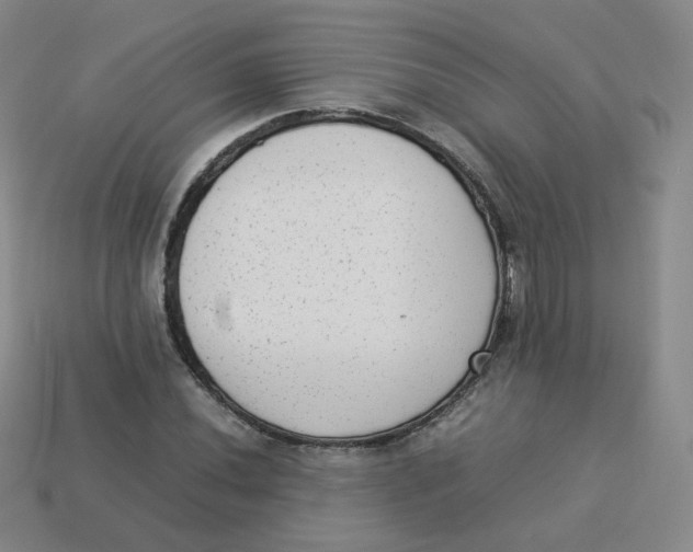X0000113261020200910081335