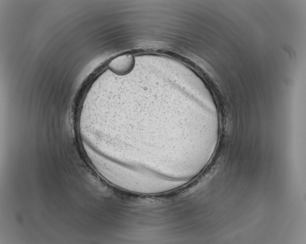 X0000113261022200910081335