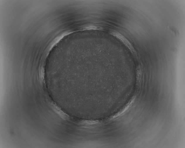 X0000113261023200910081335