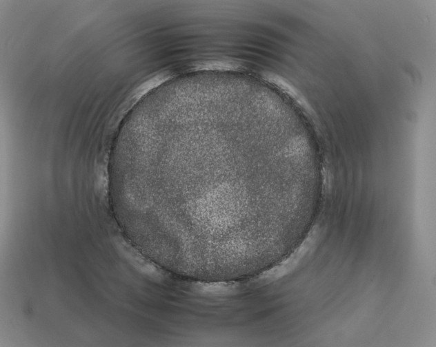 X0000113261025200910081335