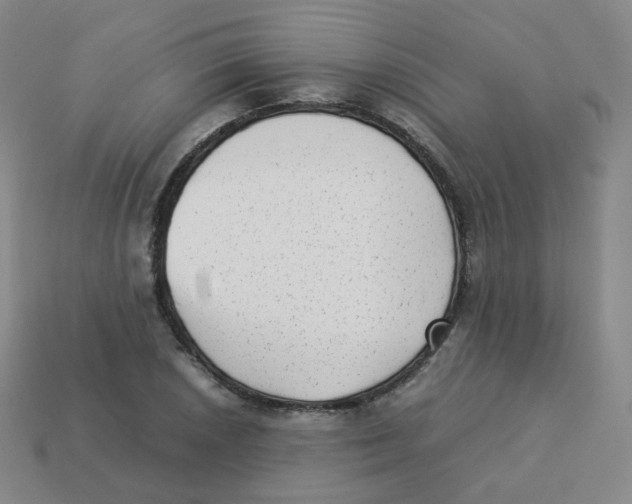 X0000113261026200910081335