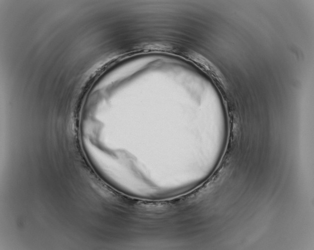 X0000113261027200910081335