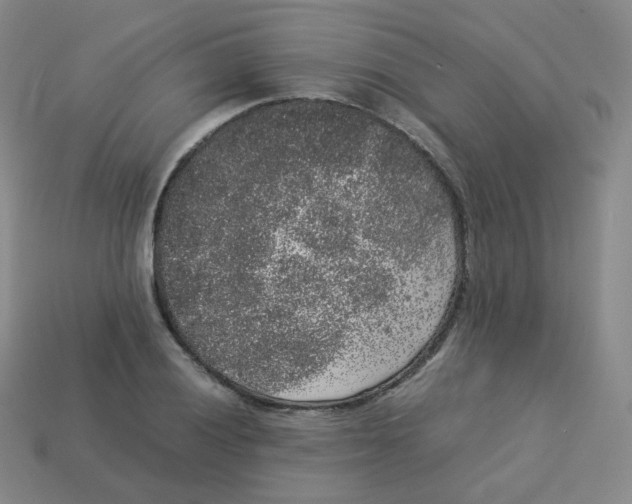 X0000113261028200910081335