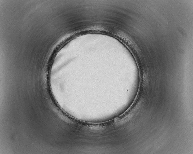 X0000113261029200910081335