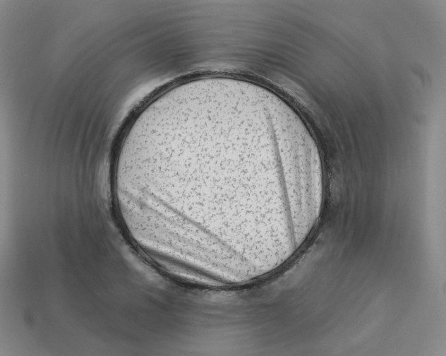X0000113261030200910081335