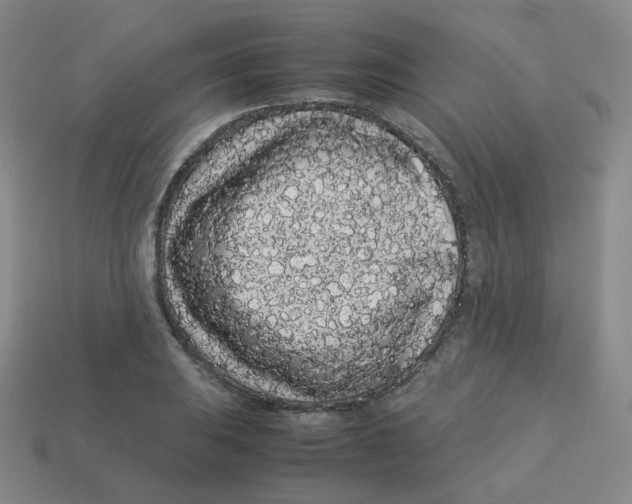 X0000113261031200910081335