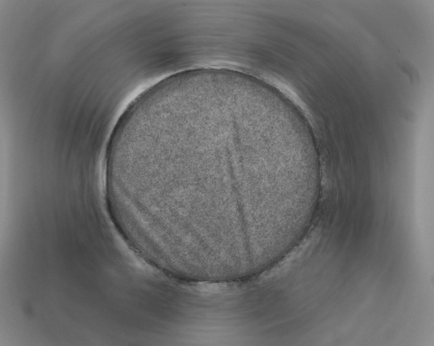 X0000113261032200910081335