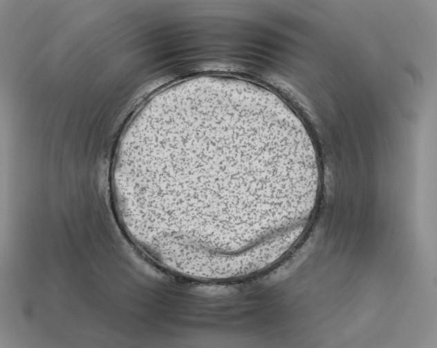 X0000113261033200910081335