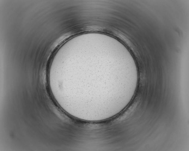 X0000113261034200910081335