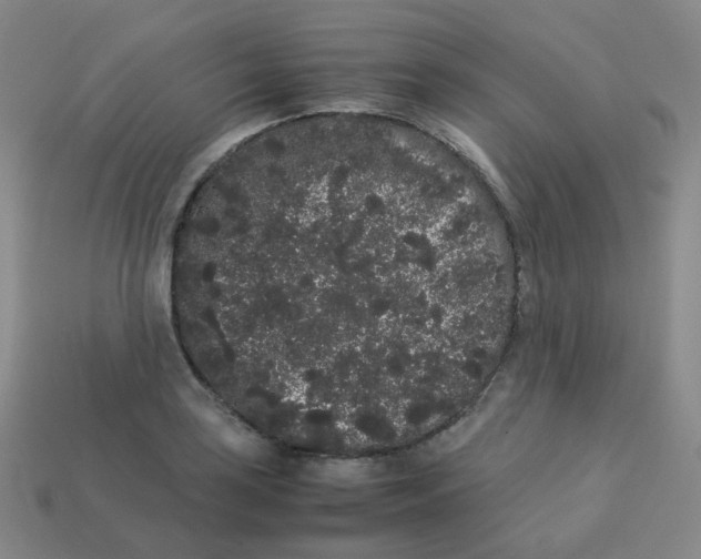 X0000113261035200910081335