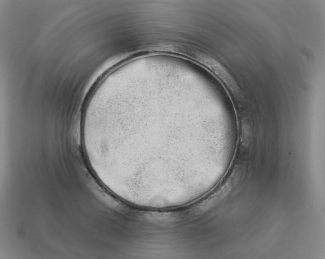 X0000113261036200910081335