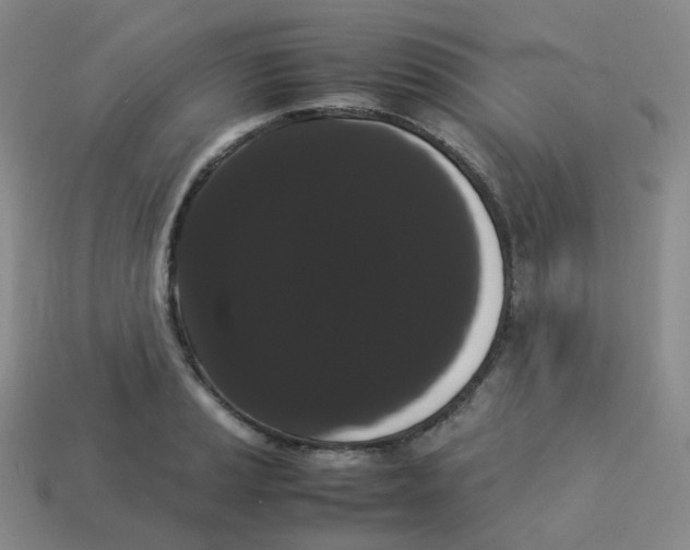 X0000113261037200910081335