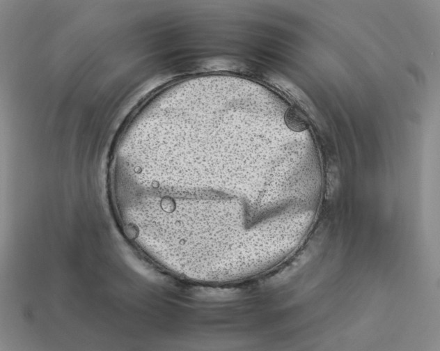 X0000113261039200910081335