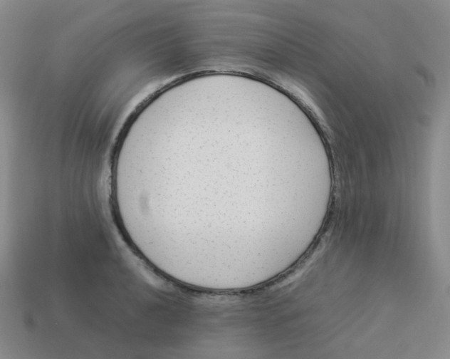 X0000113261040200910081335