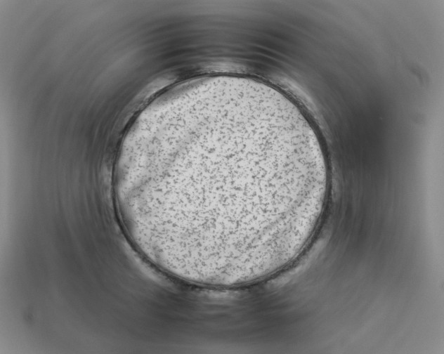 X0000113261041200910081335