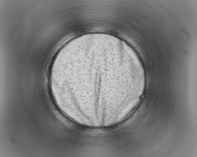 X0000113261042200910081335