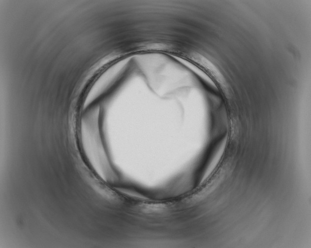 X0000113261043200910081335