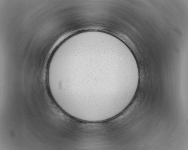 X0000113261044200910081335