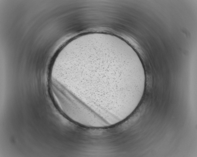 X0000113261046200910081335
